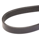 V-ribbed Belt