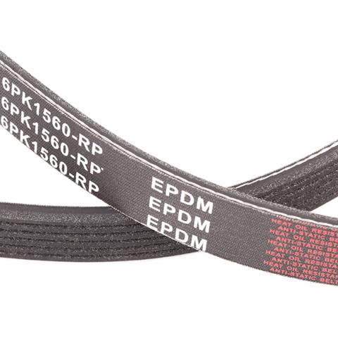 V-ribbed Belt