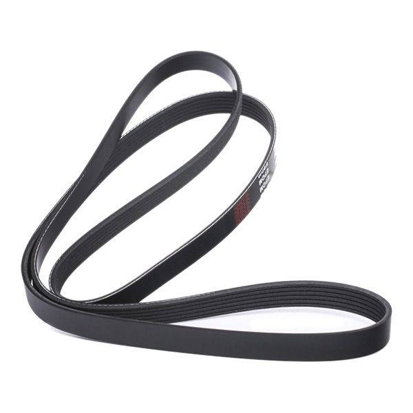 V-ribbed Belt