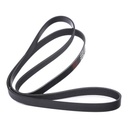 V-ribbed Belt