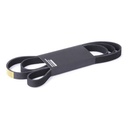 V-ribbed Belt