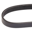 V-ribbed Belt