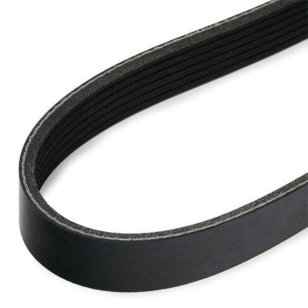 V-ribbed Belt