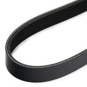 V-ribbed Belt