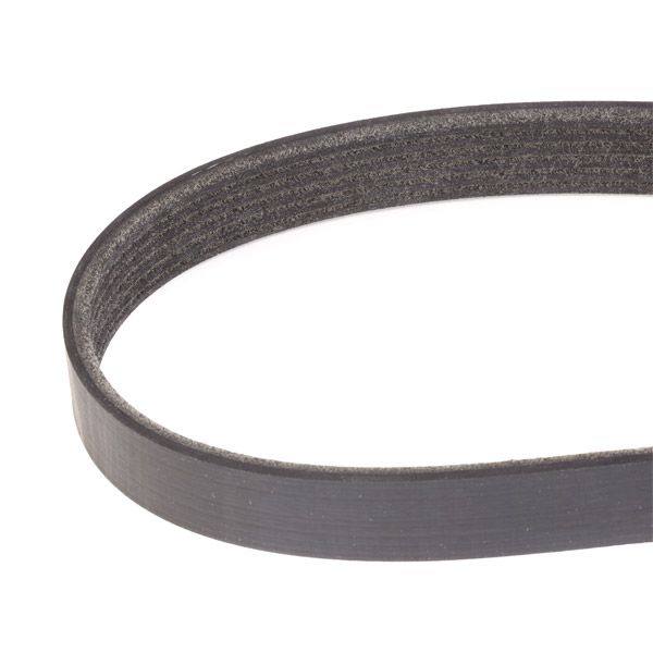 V-ribbed Belt