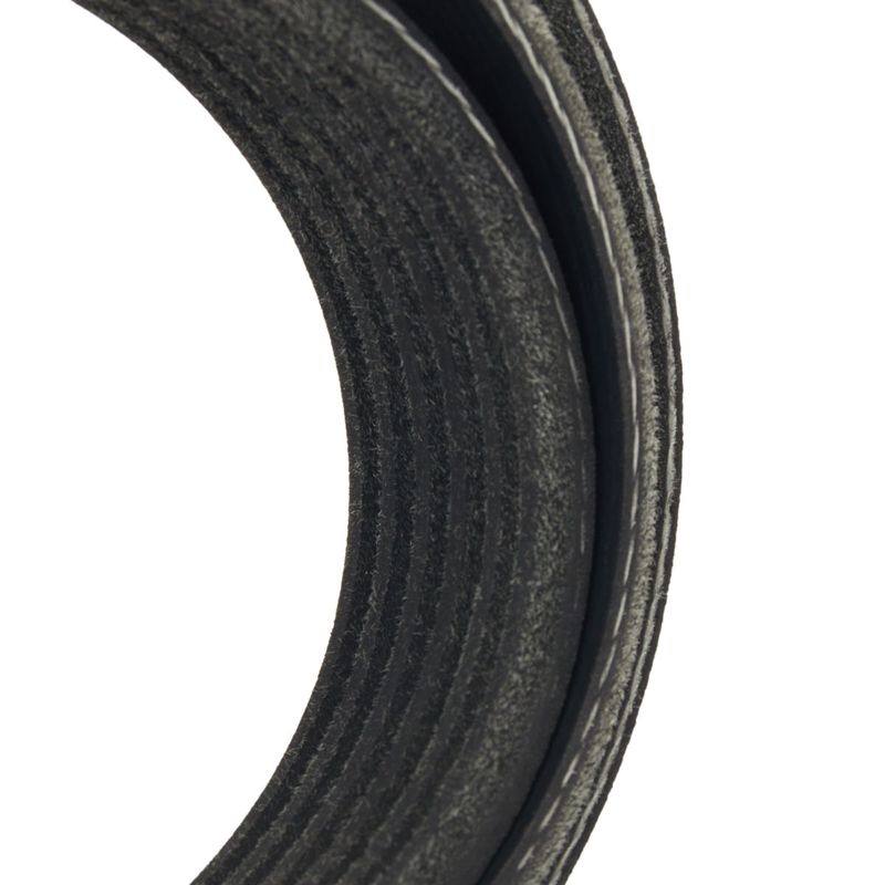 V-ribbed Belt