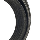 V-ribbed Belt