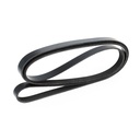 V-ribbed Belt