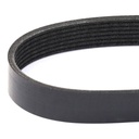 V-ribbed Belt
