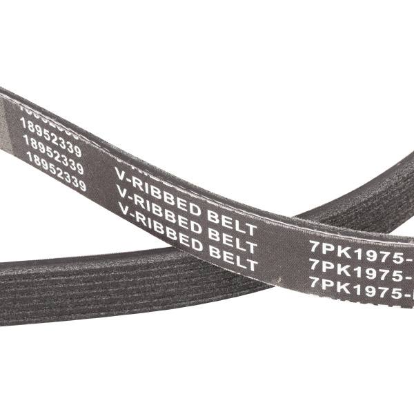 V-ribbed Belt