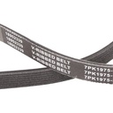 V-ribbed Belt