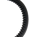 V-Belt