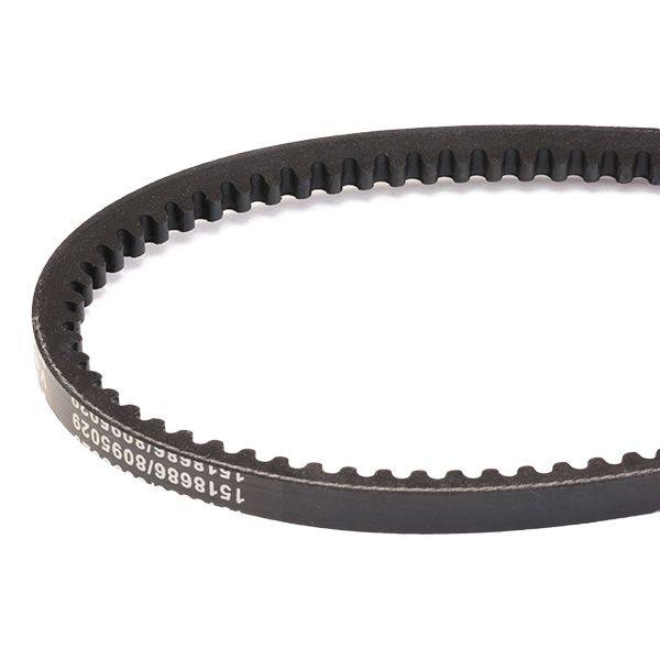 V-Belt