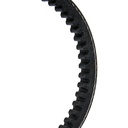 V-Belt