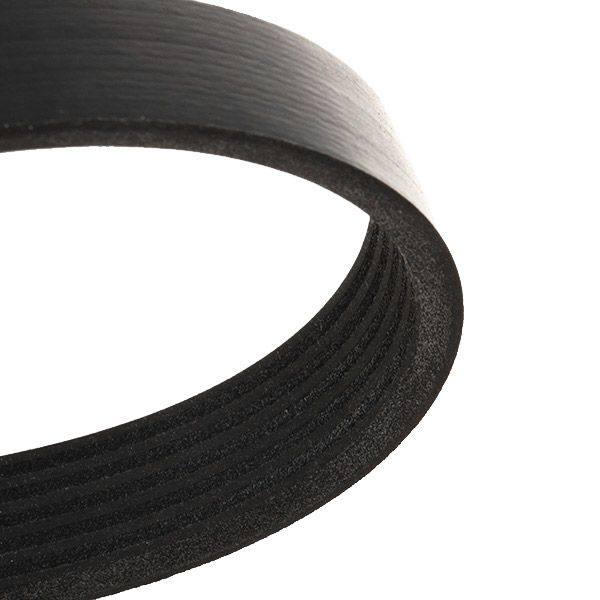 V-ribbed Belt