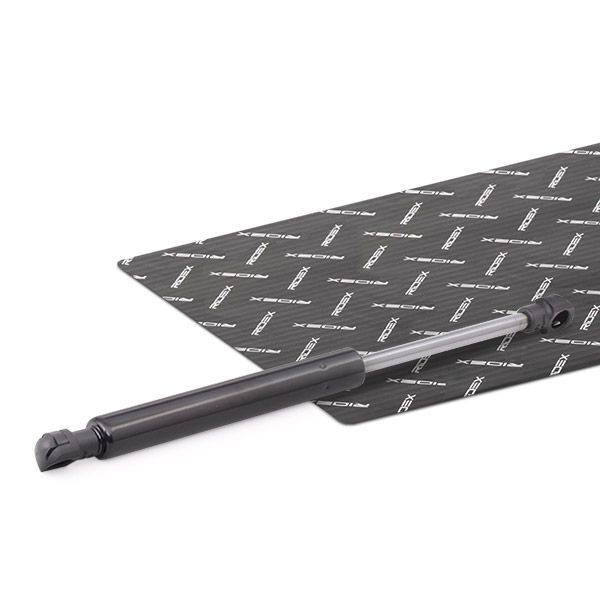 Gas Spring, boot/cargo area
