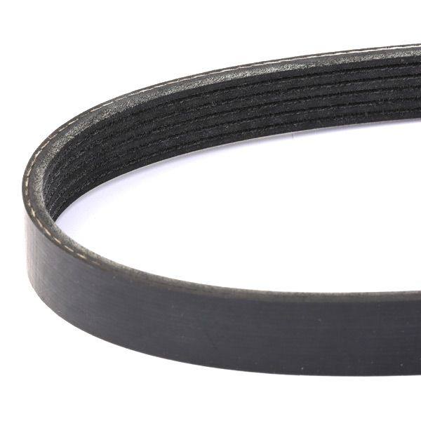 V-ribbed Belt