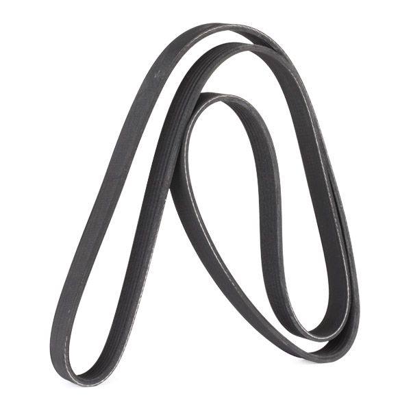 V-ribbed Belt