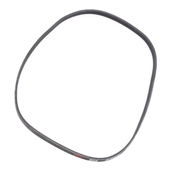 V-ribbed Belt