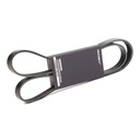 V-ribbed Belt