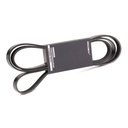 V-ribbed Belt