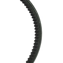 V-Belt