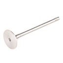 Intake Valve