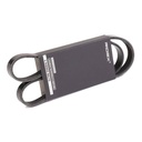 V-ribbed Belt