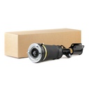 Air Suspension Strut
