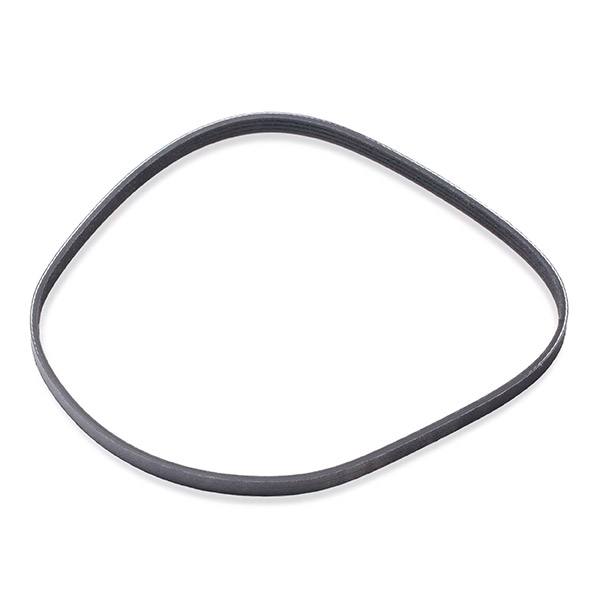 V-ribbed Belt