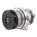 Water Pump + V-ribbed Belt Kit