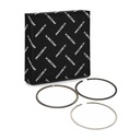Piston Ring Set