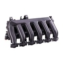 Intake Manifold Module