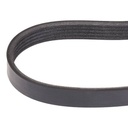 V-ribbed Belt