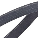V-ribbed Belt