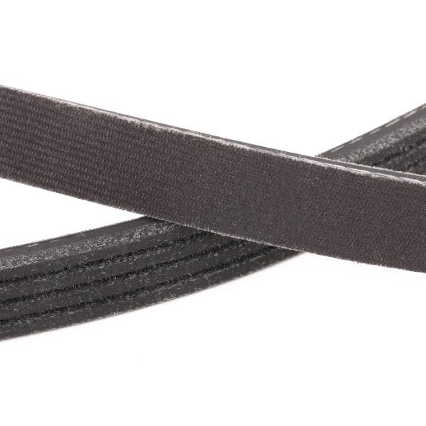 V-ribbed Belt