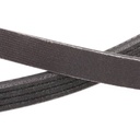 V-ribbed Belt