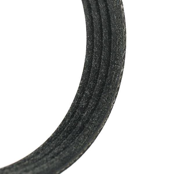 V-ribbed Belt