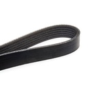 V-ribbed Belt