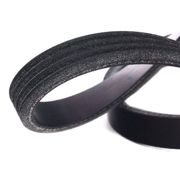 V-ribbed Belt