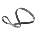V-ribbed Belt