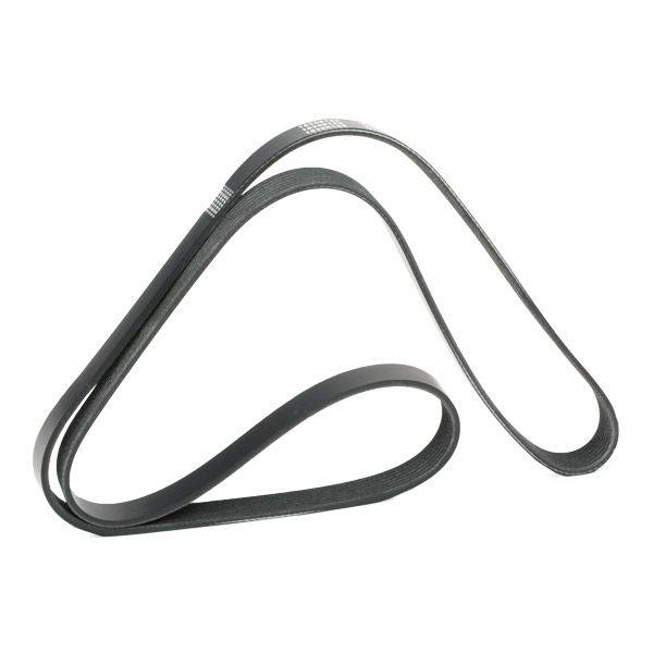 V-ribbed Belt