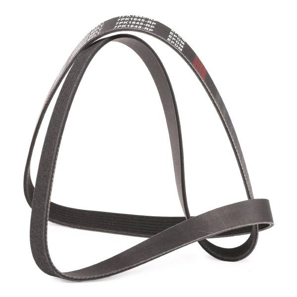 V-ribbed Belt