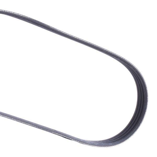V-ribbed Belt