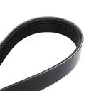V-ribbed Belt