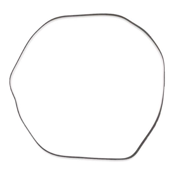 V-ribbed Belt