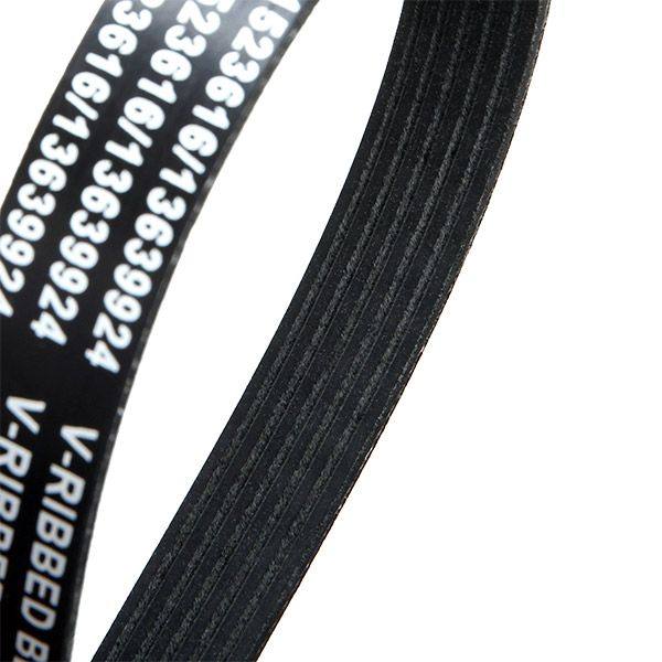 V-ribbed Belt
