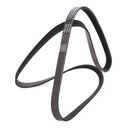 V-ribbed Belt