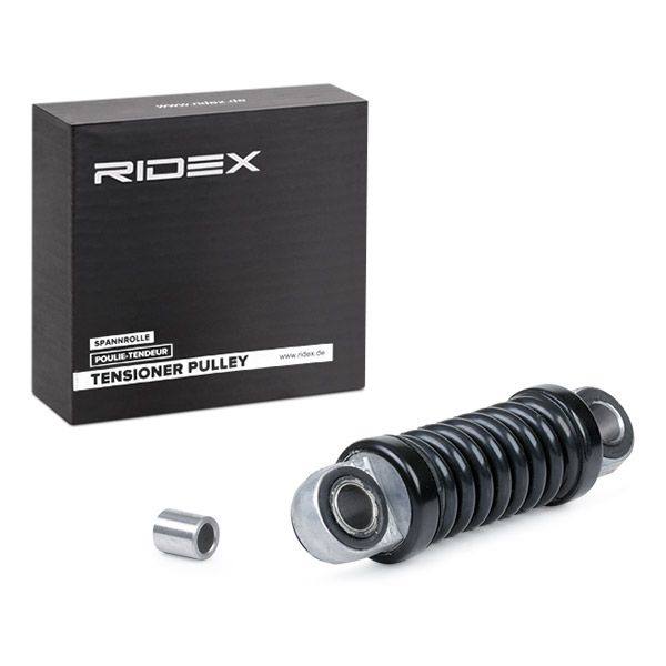 Vibration Damper, V-ribbed belt