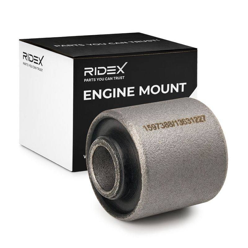 Mounting, engine